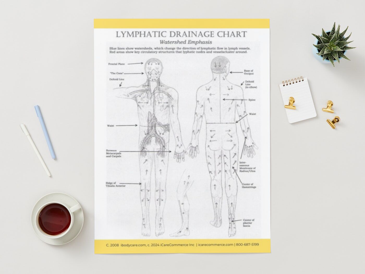 Lymphatic Drainage Chart poster